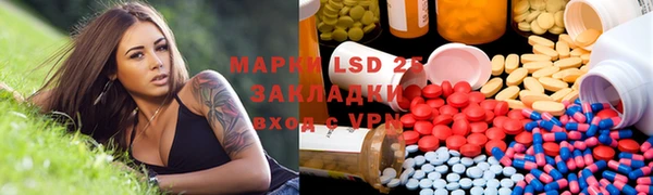 амф Гусев