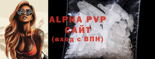 амф Гусев