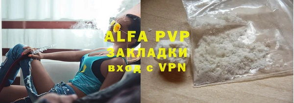 амф Гусев