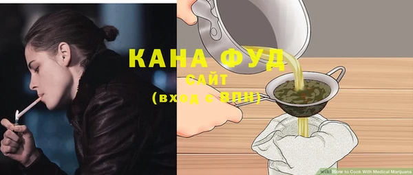 амф Гусев