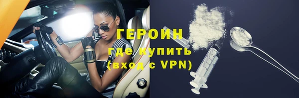 амф Гусев