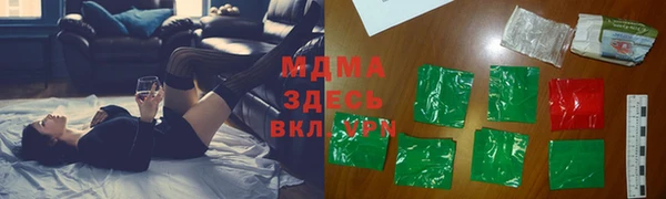 амф Гусев