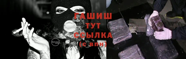 амф Гусев