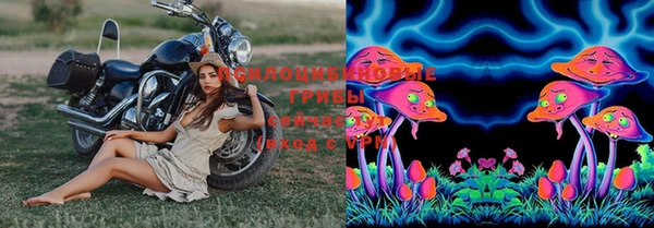 стафф Гусь-Хрустальный