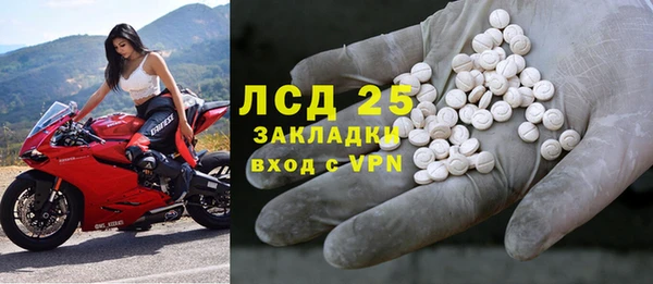 амф Гусев