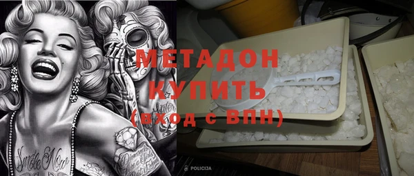 амф Гусев